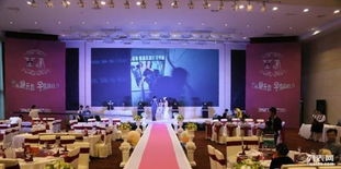 新主题婚庆礼仪策划服务中心 定制化礼仪庆典服务，点亮人生重要时刻